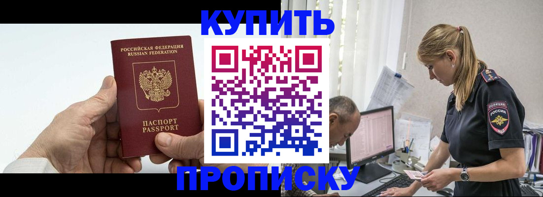 прописка поиск в Новозыбкове